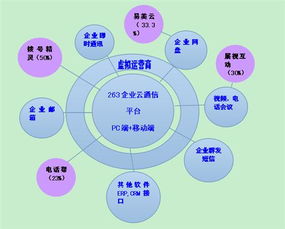 二六三 瞄準(zhǔn)未來(lái)，鑄就企業(yè)互聯(lián)網(wǎng)通信與信息服務(wù)王牌
